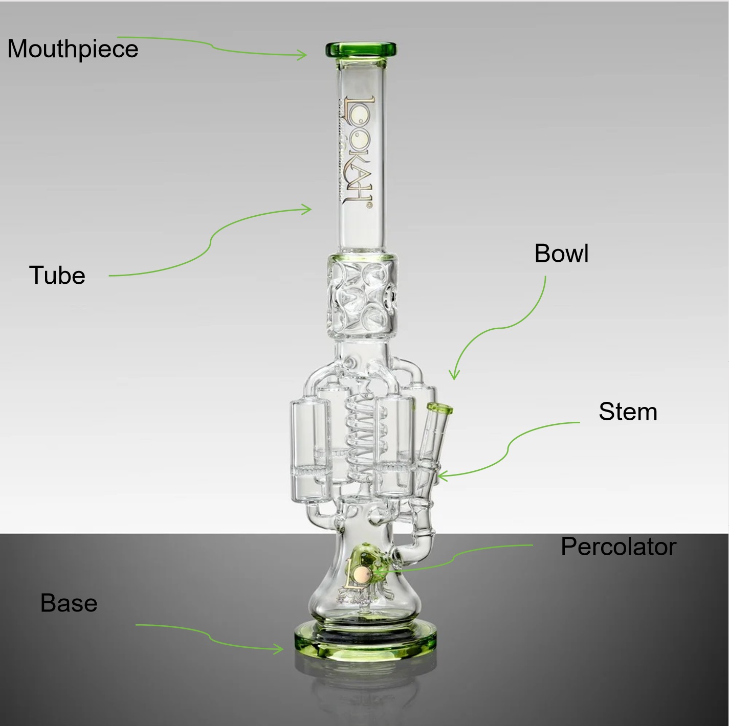 What Is a Percolator bong LOOKAH